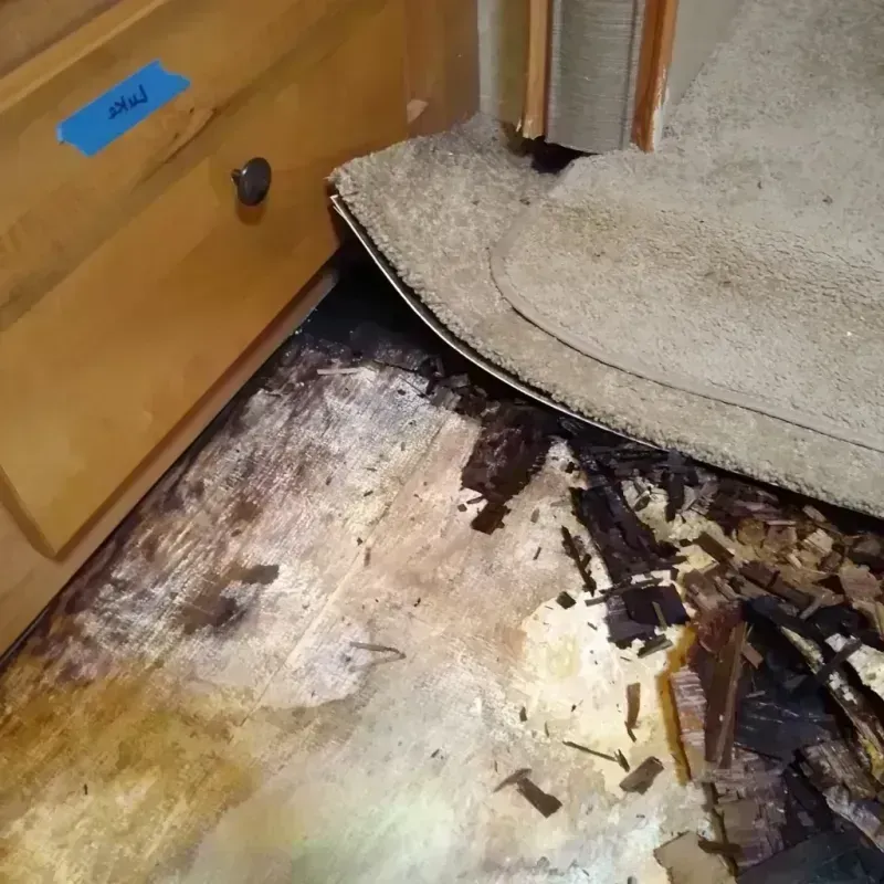 Best Wood Floor Water Damage Service in Lamar County, AL